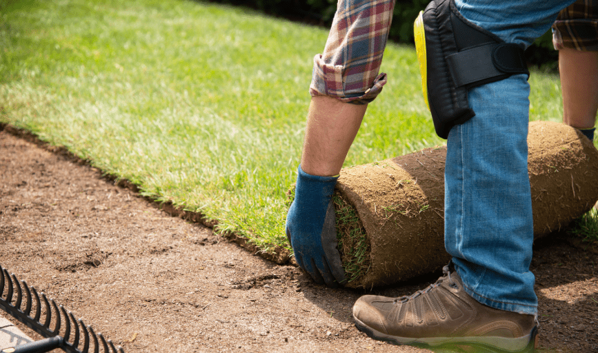 Sod Installation