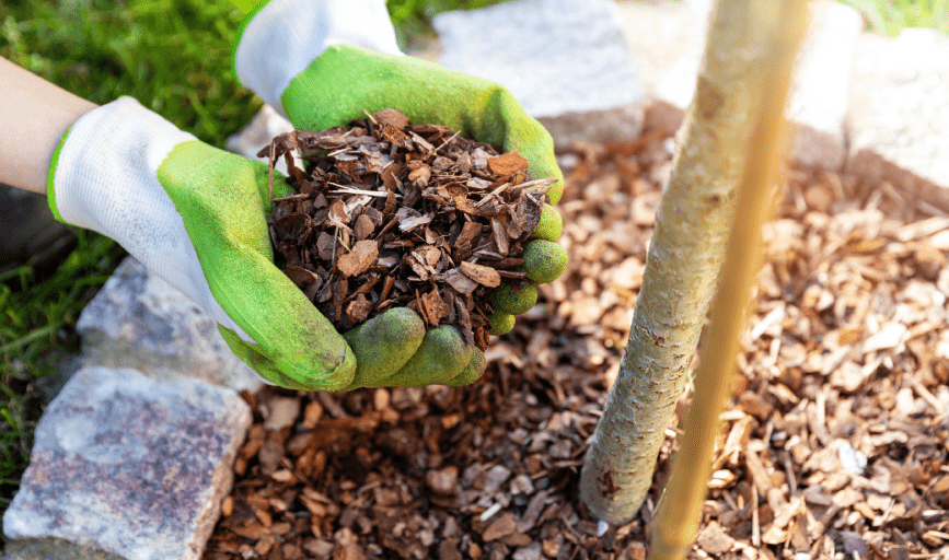 Mulch Installation