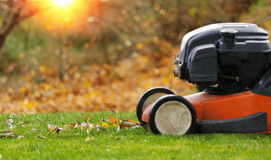 Lawn Mowing